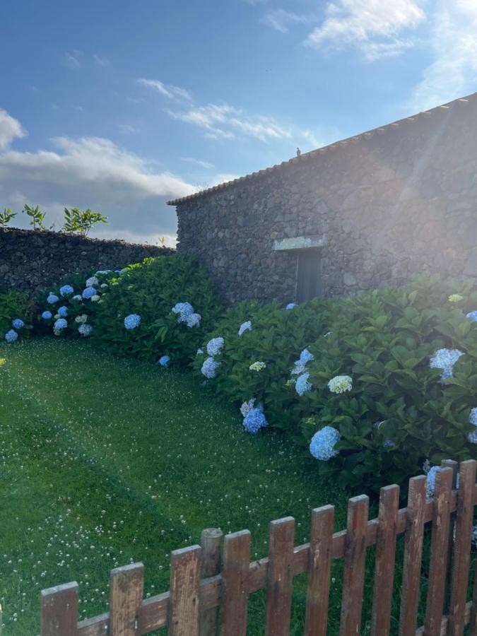 Arrenquinha Guesthouse 2 Ponta Delgada Eksteriør bilde